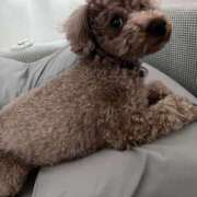 ヒメ日記 2026/04/12 19:01 投稿 白石なぎ ミセスレディ