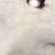 ヒメ日記 2026/02/21 06:44 投稿 入谷みすず デリス新宿