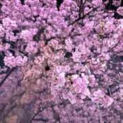 ヒメ日記 2026/03/08 15:04 投稿 入谷みすず デリス新宿