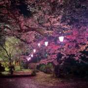 ヒメ日記 2026/04/04 18:56 投稿 入谷みすず デリス新宿