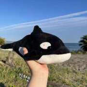 ヒメ日記 2026/01/01 04:12 投稿 この 女の子がセルフで撮影する店！！成田デリヘル『生パネル』伝説