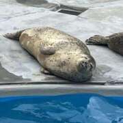 ヒメ日記 2026/01/02 10:03 投稿 この 女の子がセルフで撮影する店！！成田デリヘル『生パネル』伝説