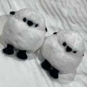 ヒメ日記 2026/04/29 19:57 投稿 この 女の子がセルフで撮影する店！！成田デリヘル『生パネル』伝説