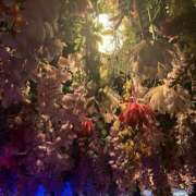 ヒメ日記 2025/12/28 06:21 投稿 りん 女の子がセルフで撮影する店！！成田デリヘル『生パネル』伝説