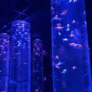 ヒメ日記 2025/12/28 18:36 投稿 りん 女の子がセルフで撮影する店！！成田デリヘル『生パネル』伝説