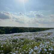ヒメ日記 2025/12/30 18:48 投稿 りん 女の子がセルフで撮影する店！！成田デリヘル『生パネル』伝説