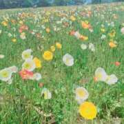 ヒメ日記 2025/12/31 15:48 投稿 りん 女の子がセルフで撮影する店！！成田デリヘル『生パネル』伝説