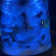 ヒメ日記 2026/01/02 22:33 投稿 りん 女の子がセルフで撮影する店！！成田デリヘル『生パネル』伝説