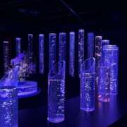 ヒメ日記 2026/01/03 03:12 投稿 りん 女の子がセルフで撮影する店！！成田デリヘル『生パネル』伝説