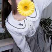 ヒメ日記 2026/02/04 19:55 投稿 メロメロめろ にゃんだ☆full☆MIX（にゃんだふるみっくす）