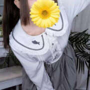 ヒメ日記 2026/04/17 19:11 投稿 メロメロめろ にゃんだ☆full☆MIX（にゃんだふるみっくす）