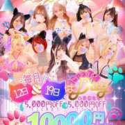 ヒメ日記 2026/04/17 19:30 投稿 メロメロめろ にゃんだ☆full☆MIX（にゃんだふるみっくす）