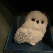 ヒメ日記 2025/12/29 04:03 投稿 児玉【こだま】 ★無料オプション多数★成田若妻即即サークル【日本人専門店】