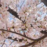 ヒメ日記 2026/03/29 09:53 投稿 なゆ 松戸角海老岩瀬店