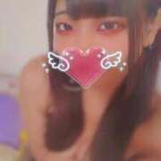 あめり はじめましてっ(｡･д･)ﾉ サティアンまーと