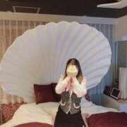 さくら すみませんm(_ _)m CELEB FACE FUKUOKA