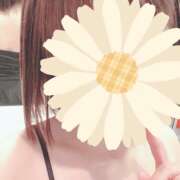 ヒメ日記 2026/01/21 07:40 投稿 松尾美奈 五十路マダム 徳島店