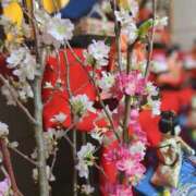 ヒメ日記 2026/03/03 22:12 投稿 華 モアグループ所沢人妻城