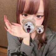 ヒメ日記 2026/03/14 19:56 投稿 なな Club S