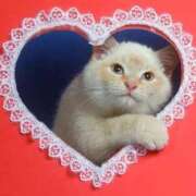 ヒメ日記 2026/02/13 21:18 投稿 礼拝ジェシカ THE痴漢電車.com