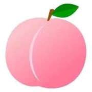 ヒメ日記 2026/04/09 17:46 投稿 礼拝ジェシカ THE痴漢電車.com