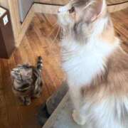 ヒメ日記 2026/03/15 21:36 投稿 あい マネLOVE