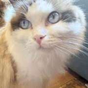 ヒメ日記 2026/04/05 22:10 投稿 あい マネLOVE