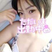 ヒメ日記 2026/02/20 07:16 投稿 笠原しの MADAM