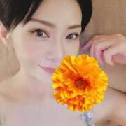 ヒメ日記 2026/04/24 01:16 投稿 笠原しの MADAM