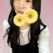 ヒメ日記 2026/01/17 17:31 投稿 まこ 横浜ミセスアロマ（ユメオト）