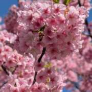 ヒメ日記 2026/02/28 21:17 投稿 まこ 横浜ミセスアロマ（ユメオト）