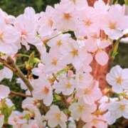 ヒメ日記 2026/04/10 16:58 投稿 まこ 横浜ミセスアロマ（ユメオト）