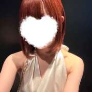 こむぎ 会いに来て〜！🎀 エマニエル秋葉原