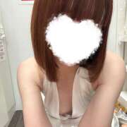 こむぎ 短いけどいるよ〜！ エマニエル秋葉原