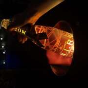 こむぎ 18時からいる！ エマニエル秋葉原