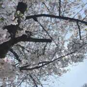 ヒメ日記 2026/04/02 11:17 投稿 ゆりな 千葉人妻セレブリティ（ユメオト）