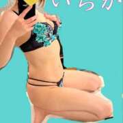 ヒメ日記 2026/03/28 10:03 投稿 いちか 千姫(道後)