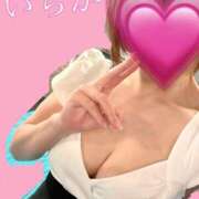 ヒメ日記 2026/06/11 10:02 投稿 いちか 千姫(道後)