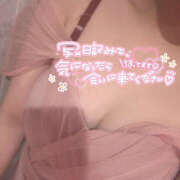 なぎさ 🌷しゅっきーん！！🌷 クラブバレンタイン神戸西店