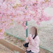 ヒメ日記 2026/04/11 13:05 投稿 天羽さら【新入生】 素人専門キラキラ学園