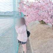 ヒメ日記 2026/04/12 01:55 投稿 天羽さら【新入生】 素人専門キラキラ学園