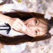 ヒメ日記 2026/04/03 12:02 投稿 椎名 まいか ライオンズクラブ