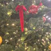 ヒメ日記 2025/12/29 18:03 投稿 新人りかこ 奥様メモリアル