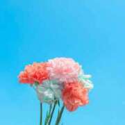 ヒメ日記 2026/01/03 19:23 投稿 美園(みその) 大牟田デリヘル倶楽部