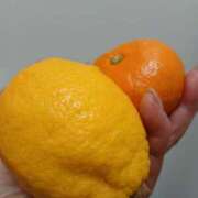 ヒメ日記 2026/01/29 18:02 投稿 志保 浜松人妻援護会