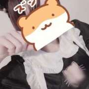 ヒメ日記 2026/01/11 16:42 投稿 冴木むぎ 渋谷ミルク