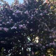 なち 💟 予定とお礼💌 💟 渋谷くいーんず