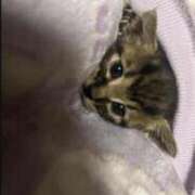 あめ まってるよ♡♡ 宮城♂風俗の神様 仙台店