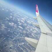 ヒメ日記 2026/02/14 02:30 投稿 吉岡しの elumo(エルモ)