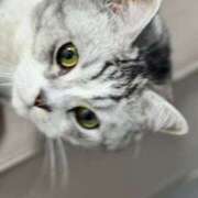 ヒメ日記 2026/01/19 17:11 投稿 あむ★業界未経験 Linda＆Linda(リンダリンダ)